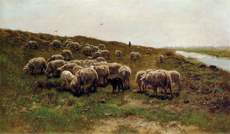 Mauve, Anton Sheep on a dyke Spain oil painting art